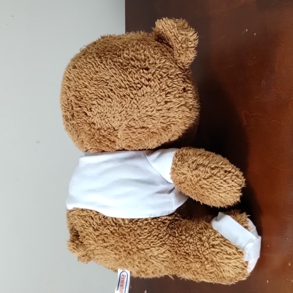 ✓PREXTEX 12-Inch Get Well Soon Plush Bear - Soft Stuffed Teddy Bear. - Picture 8 of 14